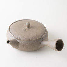 Load image into Gallery viewer, Tamamitsu Hikamahen Kyusu