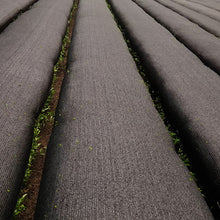 Load image into Gallery viewer, Organic Ceremonial Matcha