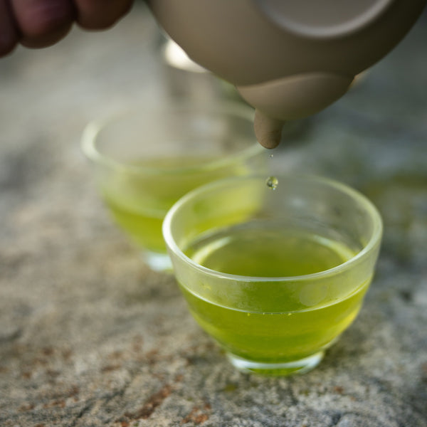 Organic Tea and Infuser Basket Sale
