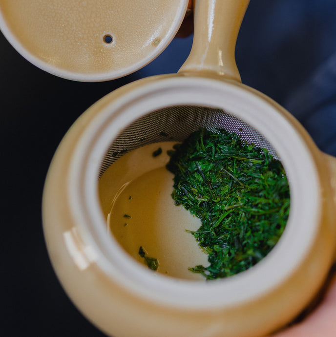 Select 2025 Sencha Have Arrived