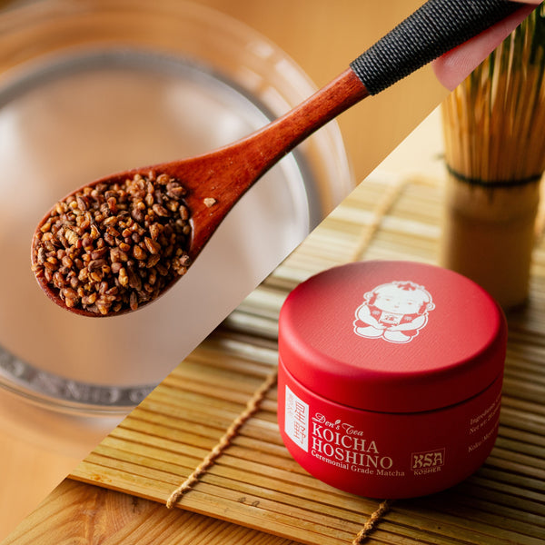 Koicha Hoshino & Dattan Sobacha