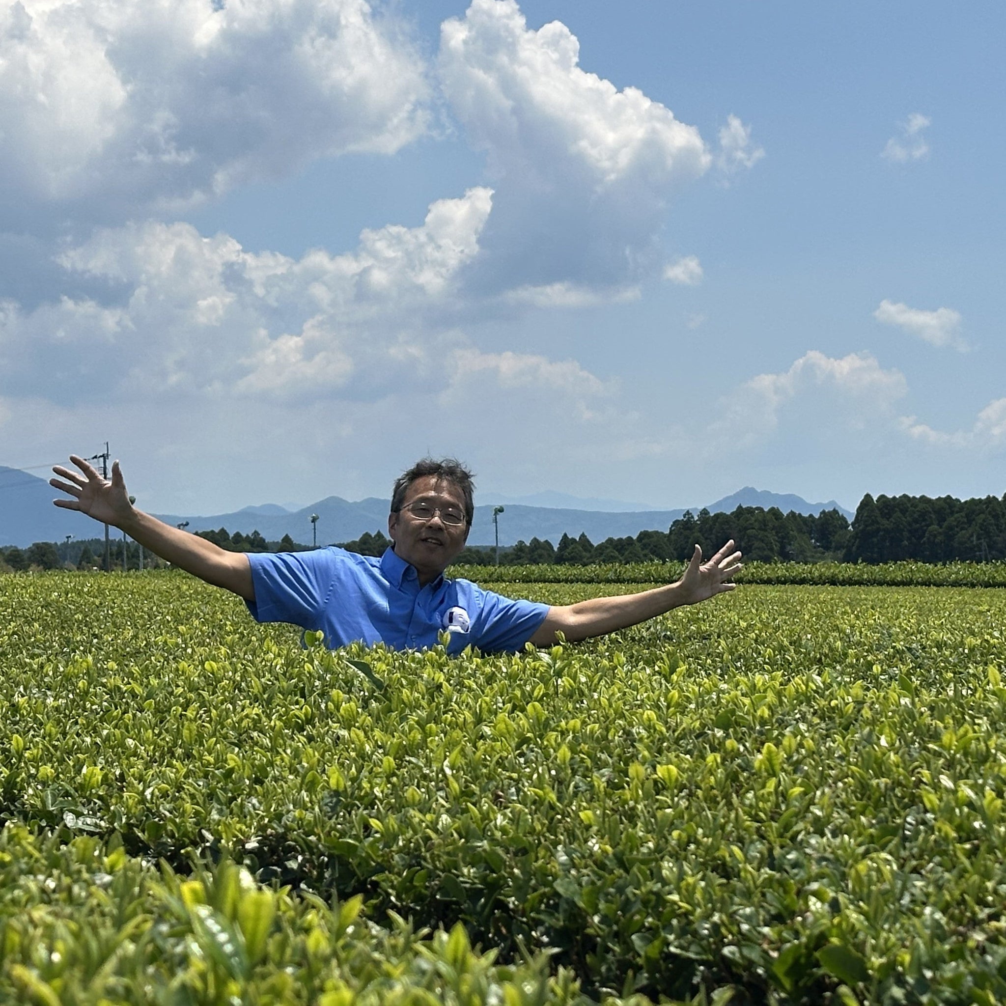 Den's Tea | Japanese Specialty Green Tea