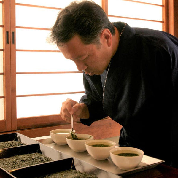 Hashiri Shincha Tasting Comments