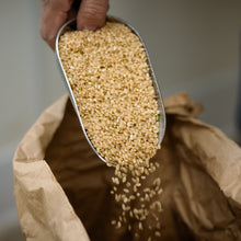 Load image into Gallery viewer, Kamiakari Brown Rice
