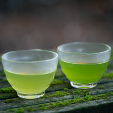 Load image into Gallery viewer, Fukamushi Sencha Comparison Set
